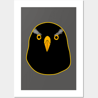 Black Goshawk with yellow eyes Posters and Art